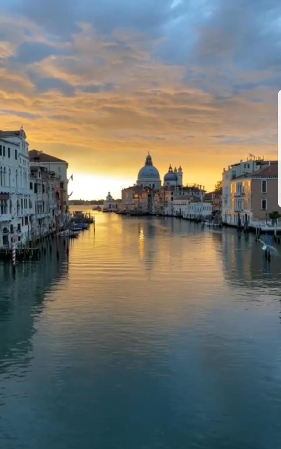 Gondola Show Venezia Rom bilde